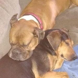 Meet your Posher, Brandy